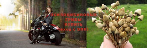 кокс Алексеевка