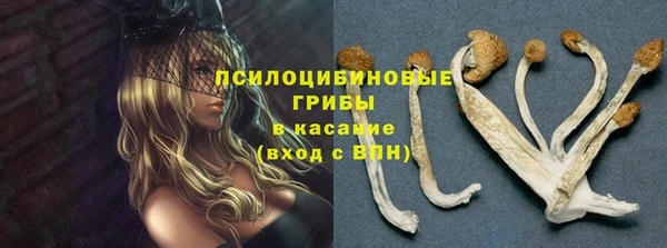 героин Алексин
