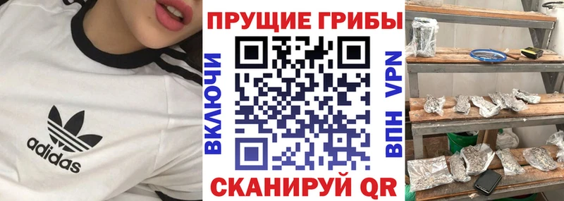 Псилоцибиновые грибы MAGIC MUSHROOMS  как найти закладки  Куса 